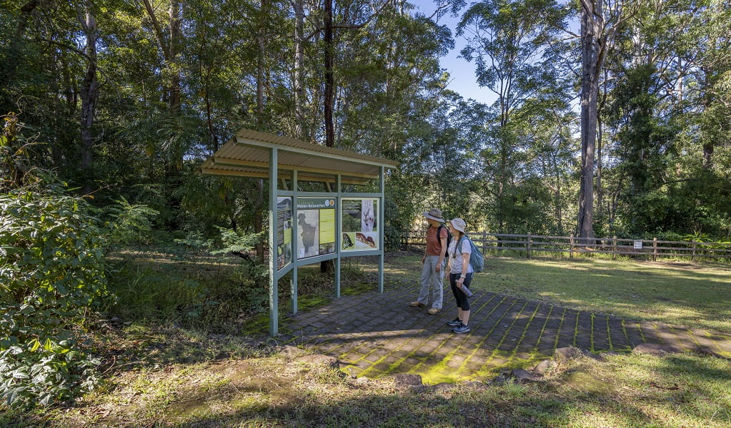 Two hikers read an information sign on Byrrill Creek walking track, Mebbin National Park. Photo: John Spencer &copy; DPE