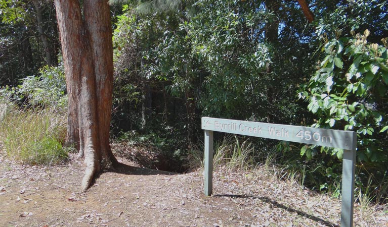 Byrrill Creek walking track, Mebbin National Park. Photo &copy; Damien Hofmeyer