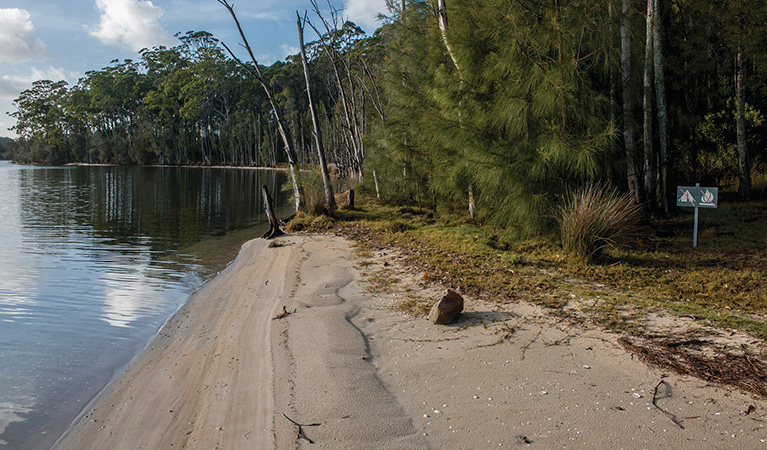 Untracked beach on Burrill Lake, fringed by bush, under a sunny sky. Photo: Michael Van Ewijk/DPIE