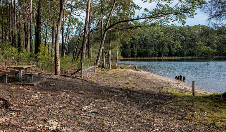 Bushland clearing on a slope next to Burrill Lake, with a picnic table, in Meroo National Park. Photo: Michael Van Ewijk/DPIE