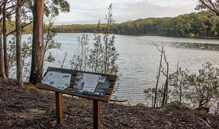 Views of Burrill Lake from Giriwa walking track, Meroo National Park. Photo: Michael Van Ewijk &copy; OEH