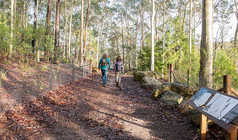 Aboriginal cultural heritage, Giriwa walking track, Meroo National Park. Photo: Michael Van Ewijk