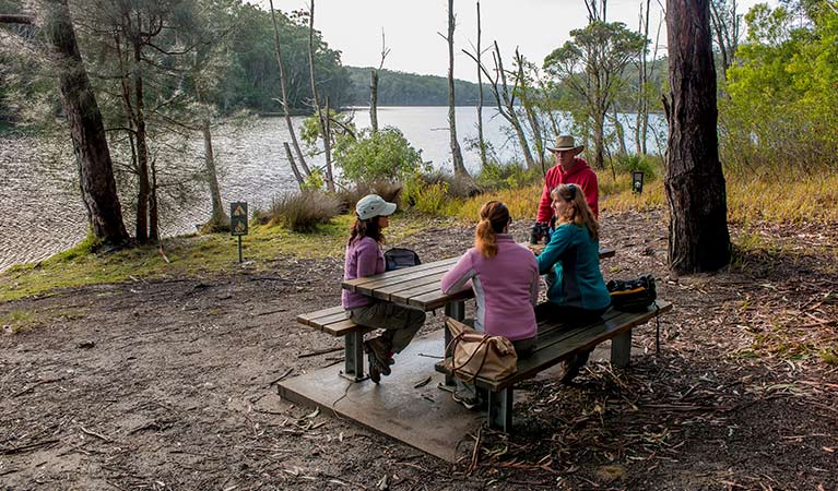 Western Arm picnic area, Giriwa walking track, Meroo National Park. Photo: Michael Van Ewijk &copy; OEH