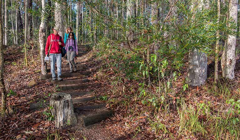 A family walks along Giriwa walking track, Meroo National Park. Photo: Michael Van Ewijk &copy; OEH