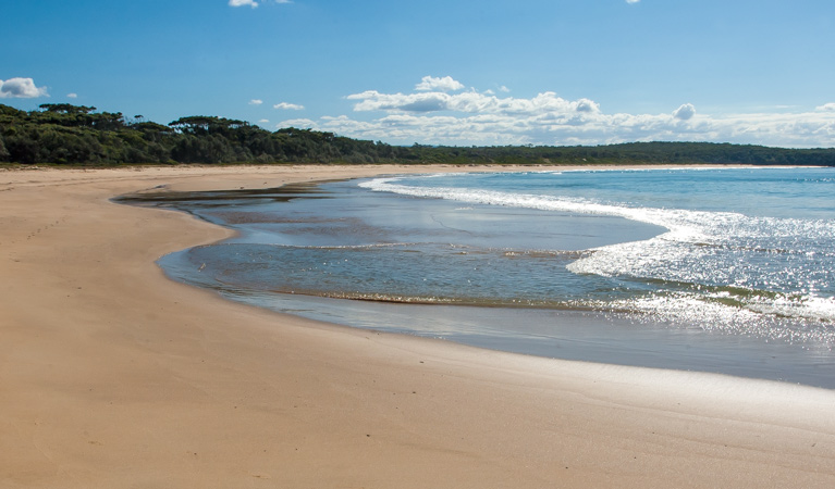 Meroo Head campground, Meroo National Park. Photo: Michael van Ewijk/OEH