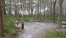 Meroo Head campground. Photo: Meghan Kempster/NPWS