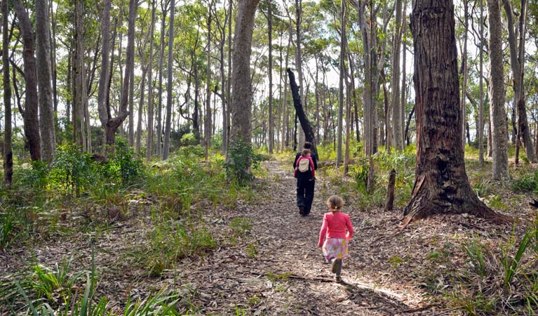 Meroo Head lookout walking track, Meroo National Park. Photo &copy; Michael Jarman