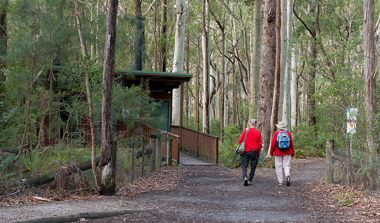 Bushwalkers walking along Meroo Head Lookout walking track, Meroo National Park. Photo: Michael van Ewijk &copy; OEH