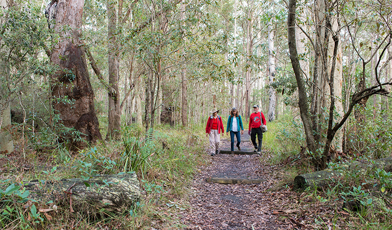 Bushwalkers walking along Meroo Head Lookout walking track, Meroo National Park. Photo: Michael van Ewijk &copy; OEH