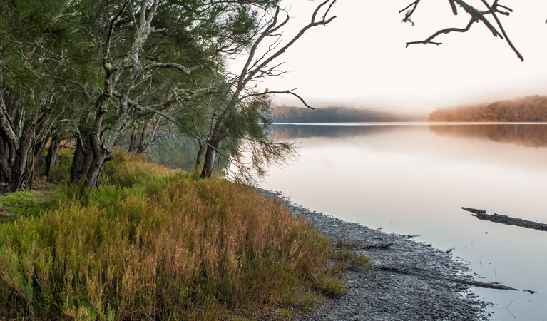 Meroo Lake walking track, Meroo National Park. Photo: Michael van Ewijk &copy; OEH