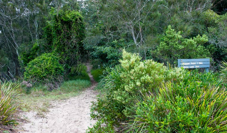 Nuggan Point walking track, Meroo National Park. Photo: Michael van Ewijk &copy; OEH