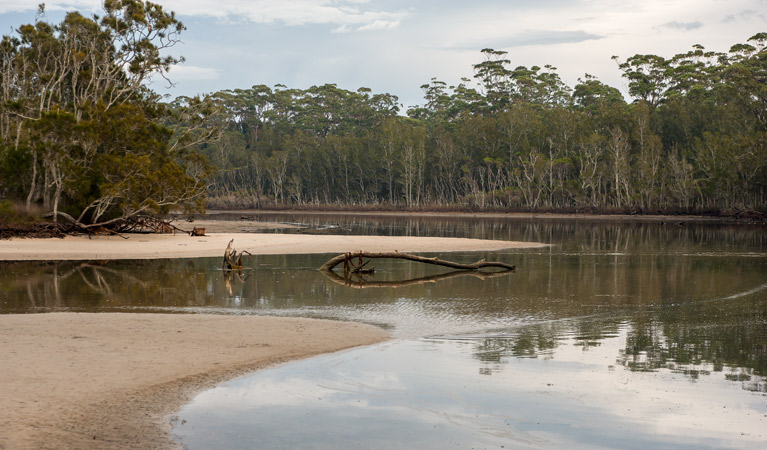 Nuggan Point walking track, Meroo National Park. Photo: Michael van Ewijk