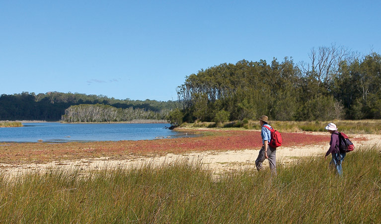 Nuggan Point walking track, Meroo National Park. Photo: Michael van Ewijk &copy; OEH