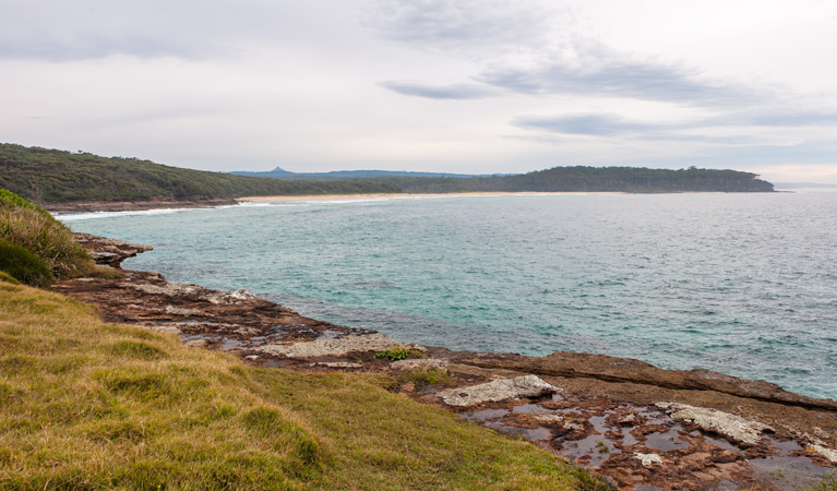 Nuggan Point walking track, Meroo National Park. Photo: Michael van Ewijk &copy; OEH