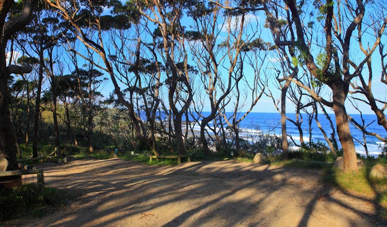 Pot Holes Beach, Meroo National Park. Photo &copy; Mathew Makeham