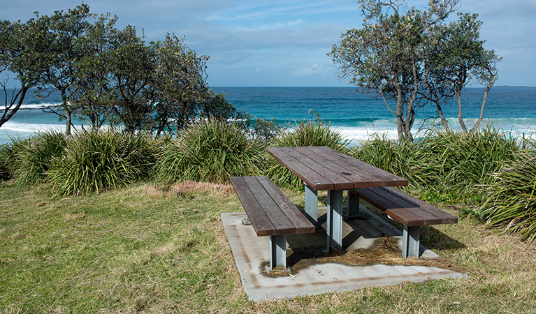 Picnic tables located at Stokes Island picnic area. Photo: Michael van Ewijk/OEH