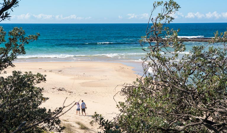 Stokes Island picnic area, Meroo National Park. Photo: Michael van Ewijk