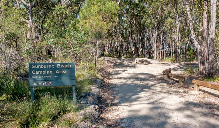 Sunburnt Beach campground, Meroo National Park. Photo: Michael van Ewijk/OEH