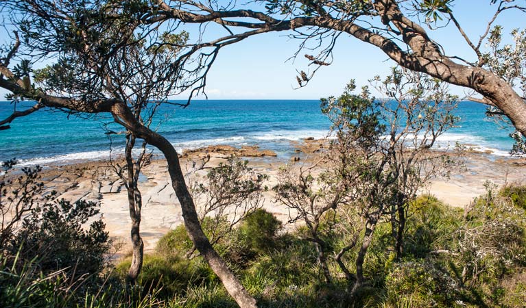 Sunburnt Beach campground, Meroo National Park. Photo: Michael van Ewijk/OEH