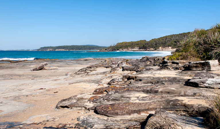 Sunburnt Beach campground, Meroo National Park. Photo: Michael van Ewijk/OEH