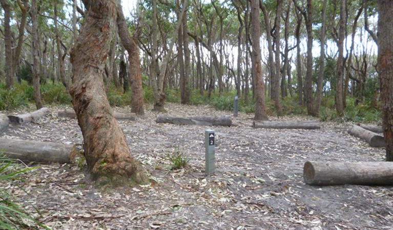 Sunburnt Beach campground. Photo: Meghan Kempster/NPWS