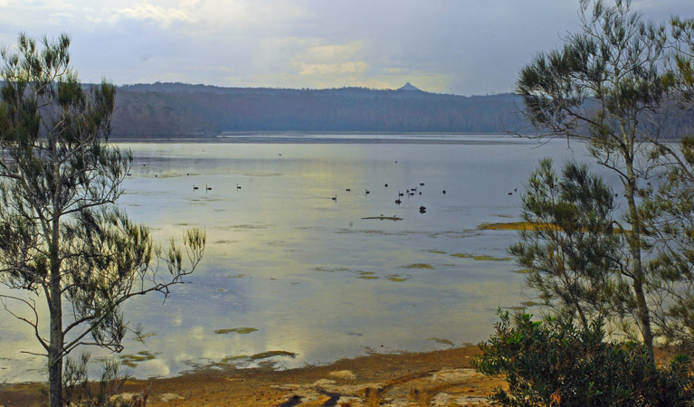 Tabourie Lake, Meroo National Park. Photo: Michael Jarman