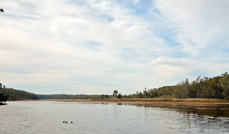 Tabourie Lake, Meroo National Park. Photo: Michael Jarman