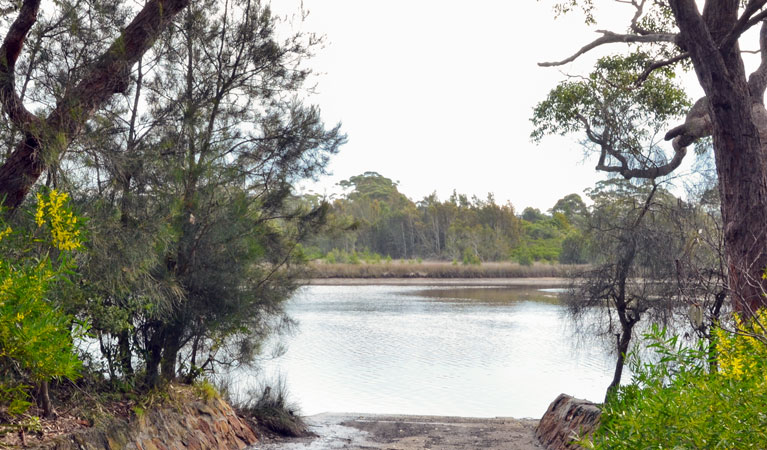 Tabourie Lake, Meroo National Park. Photo: Michael Jarman