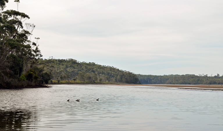 Tabourie Lake, Meroo National Park. Photo: Michael Jarman