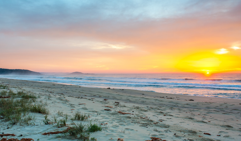 Termeil Beach, Meroo National Park. Photo: Michael van Ewijk