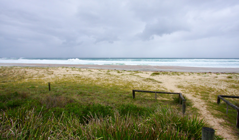 Termeil Beach, Meroo National Park. Photo: M Makeham