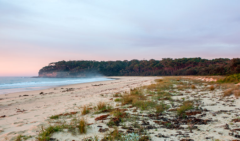 Termeil Beach picnic area, Meroo National Park. Photo: Michael van Ewijk