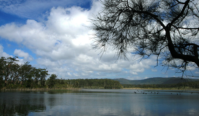 Termeil Lake, Meroo National Park. Photo: J Dunn