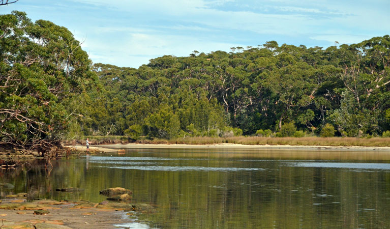 Termeil Lake, Meroo National Park. Photo &copy; Michael Jarman