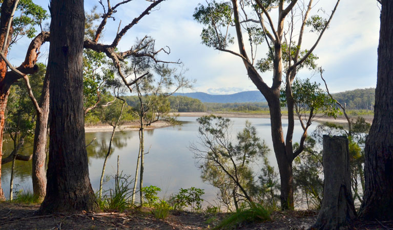 Termeil Lake, Meroo National Park. Photo &copy; Michael Jarman