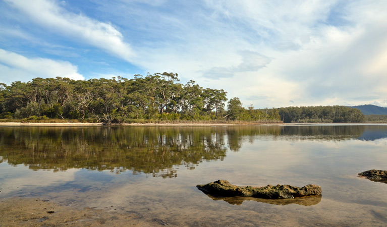 Termeil Lake, Meroo National Park. Photo &copy; Michael Jarman