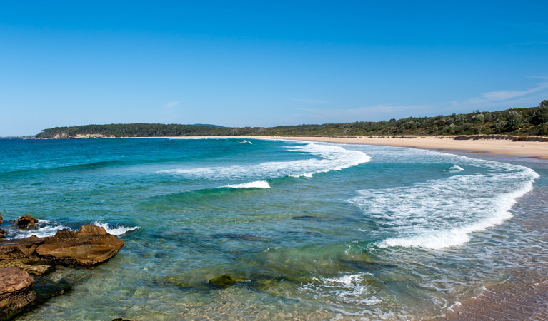 Termeil Point campground, Meroo National Park. Photo: Michael van Ewijk/OEH