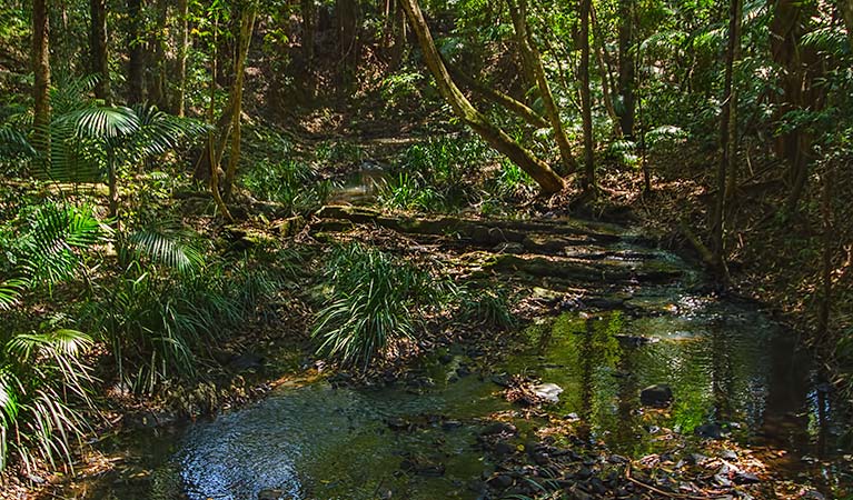 Middle Brother National Park. Photo: John Spencer/NSW Government