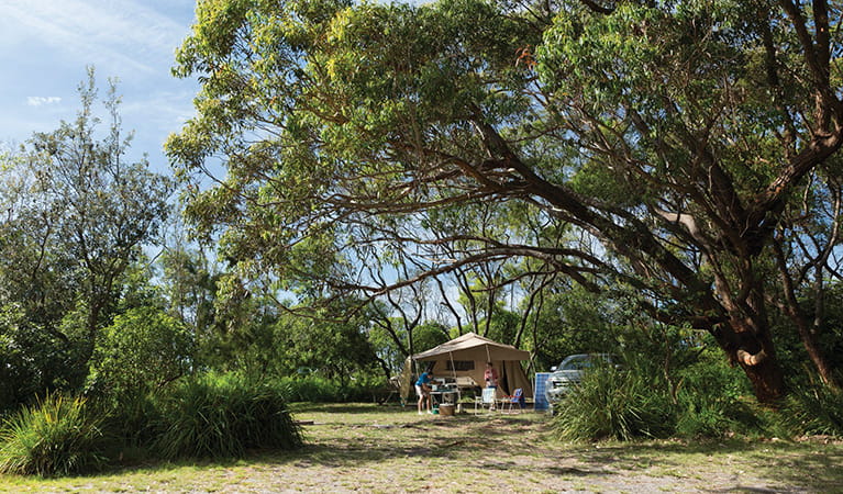Campers at their tent surrounded by trees in Aragunnu campground, Mimosa Rocks National Park. Photo: David Finnegan/DPIE