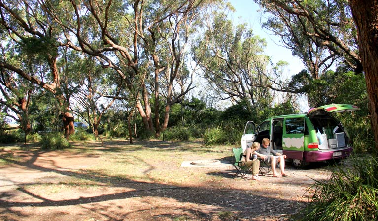 Aragunnu campground. Photo: John Yurasek Copyright: NSW Government