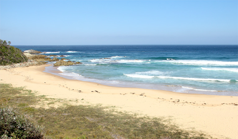 Aragunnu Beach, Mimosa Rocks National Park. Photo: John Yurasek/NSW Government