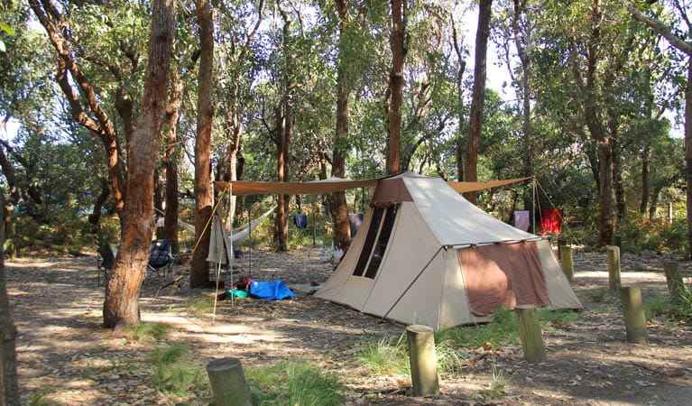Tent in Aragunnu campground, Mimosa Rocks National Park. Photo: John Yurasek Copyright:NSW Government