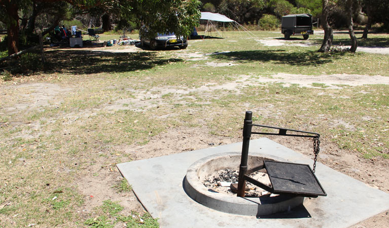 A fire ring at Gillards campground, Mimosa Rocks National Park. Photo: John Yurasek/DPIE