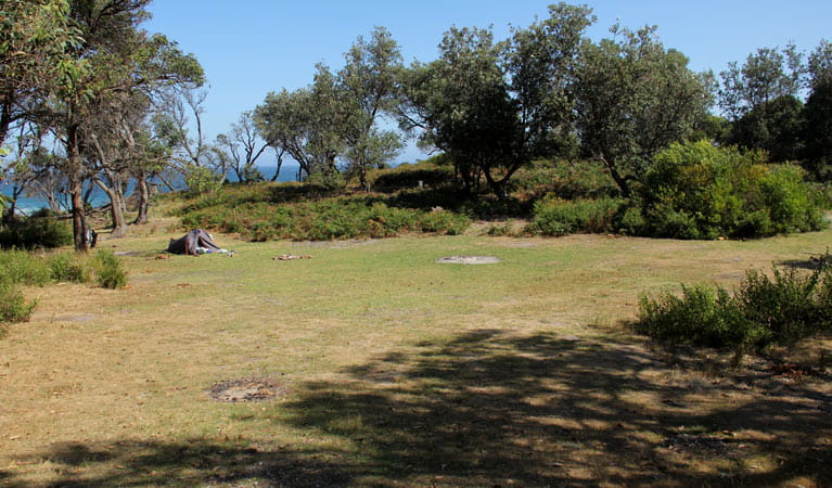 Middle Beach campground, Mimosa Rocks National Park. Photo: John Yurasek Copyright:NSW Government
