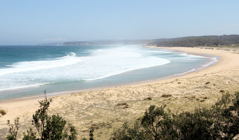 Middle Beach campground, Mimosa Rocks National Park. Photo: John Yurasek Copyright:NSW Government