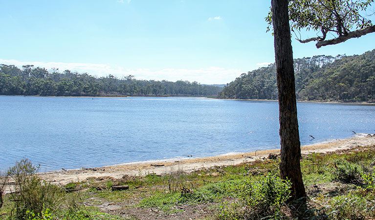 Middle Lagoon walking track, Mimosa Rocks National Park. Photo: John Yurasek &copy; OEH