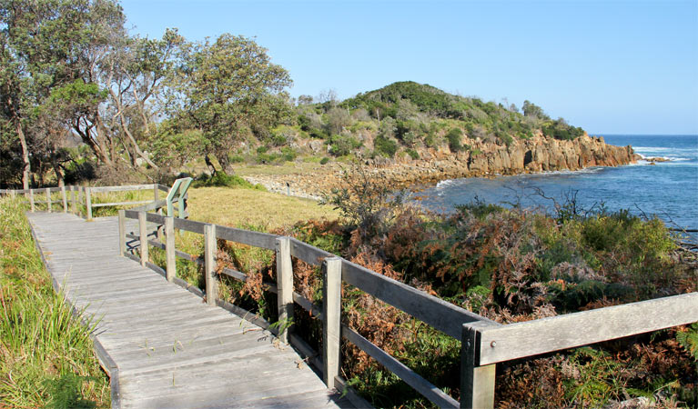 The boardwalk on Mimosa Rocks Walking Track. Photo: John Yurasek &copy; OEH