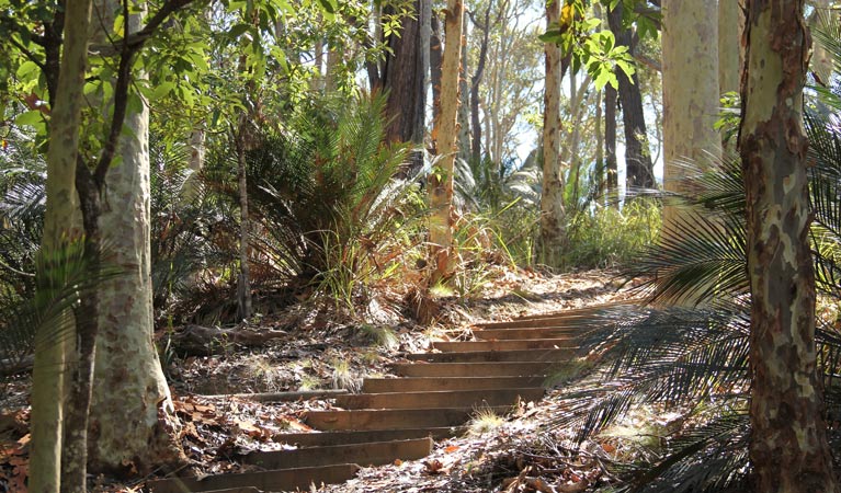 Steps at Moon Bay, Mimosa Rocks National Park. Photo: John Yurasek