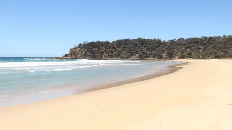 Nelson Beach, Mimosa Rocks National Park. Photo: John Yurasek