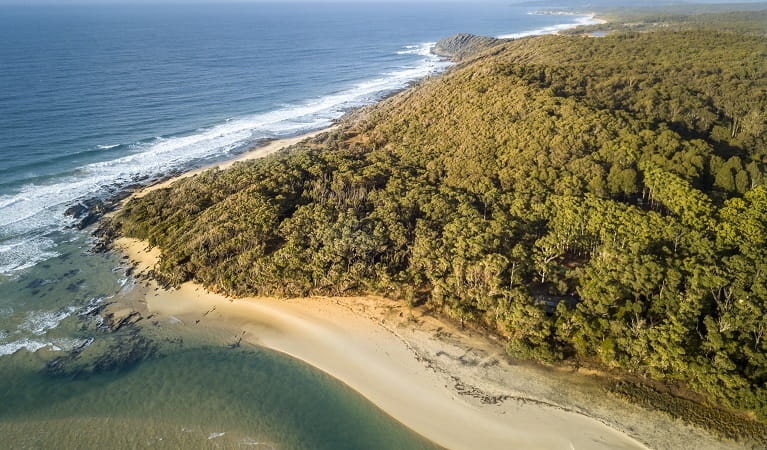Aerial image of the beach at Mimosa Rocks National Park. Photo: John Spencer &copy; DPIE